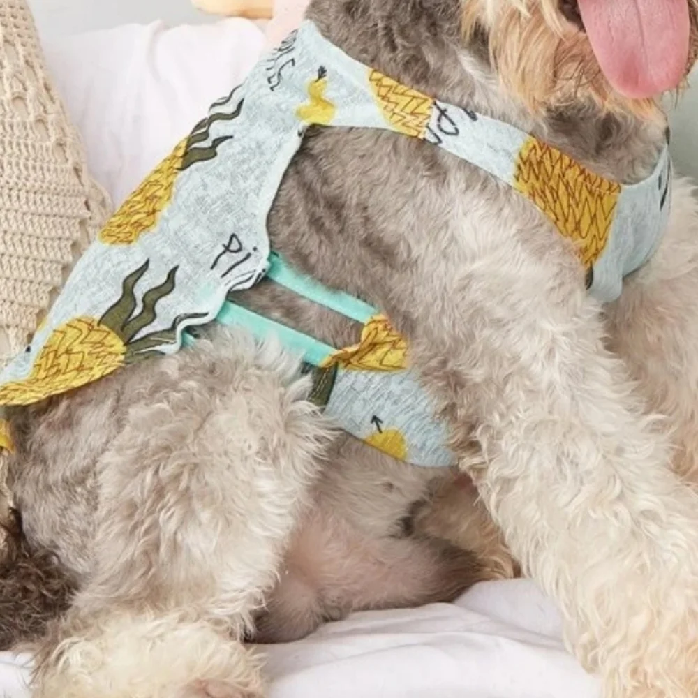Yaodhaod Dog Dresses in Pink Bunny Print and Sky Blue Pineapple Print Size S